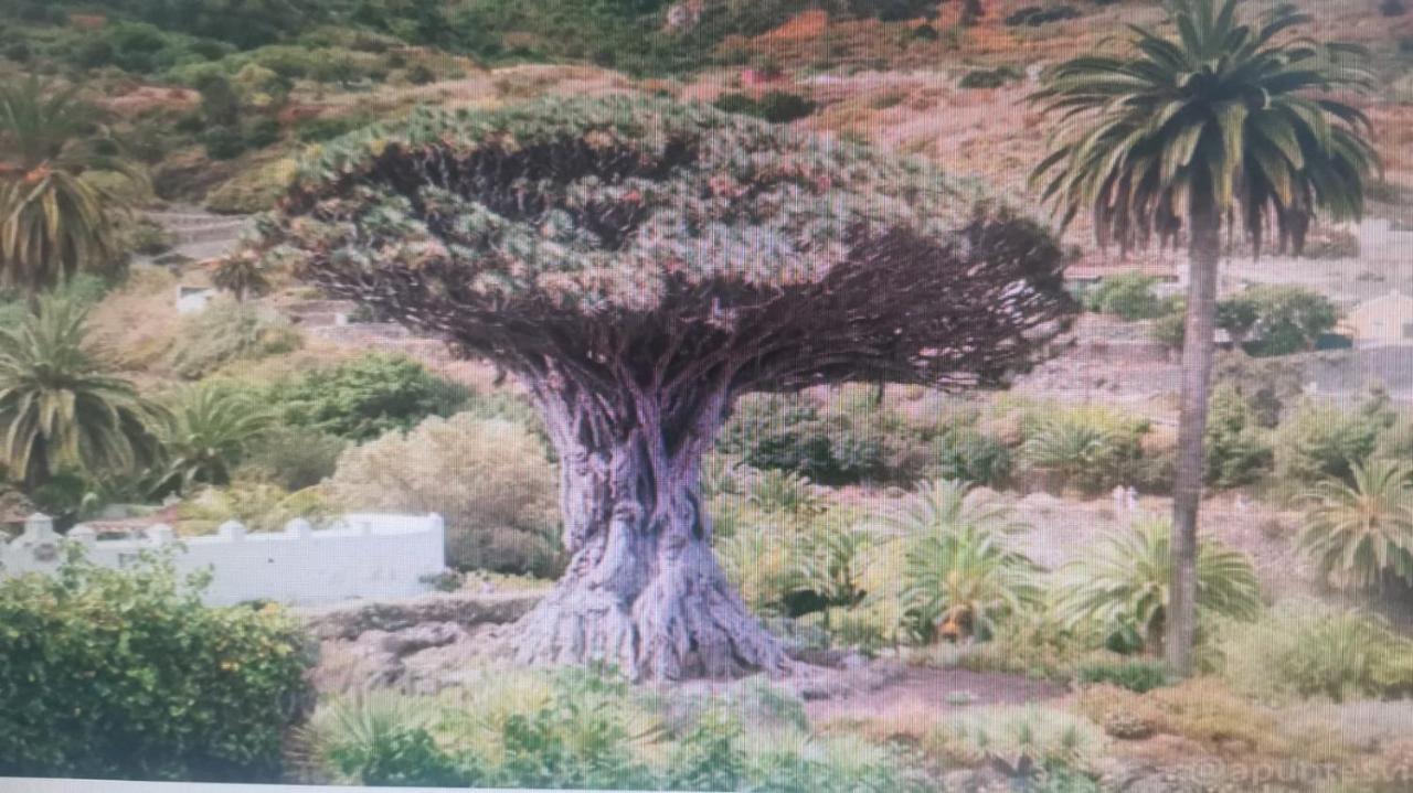 Tradicional Casa Canaria Con Piscina Y Vistas Al Teide อิคอดเดลอสวินอส ภายนอก รูปภาพ